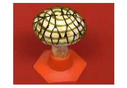 پرینت سه بعدی سیانوباکترها روی قارچ و تولید برق!